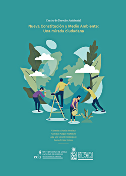 Cubierta para Nueva Constitución y medio ambiente: una mirada ciudadana