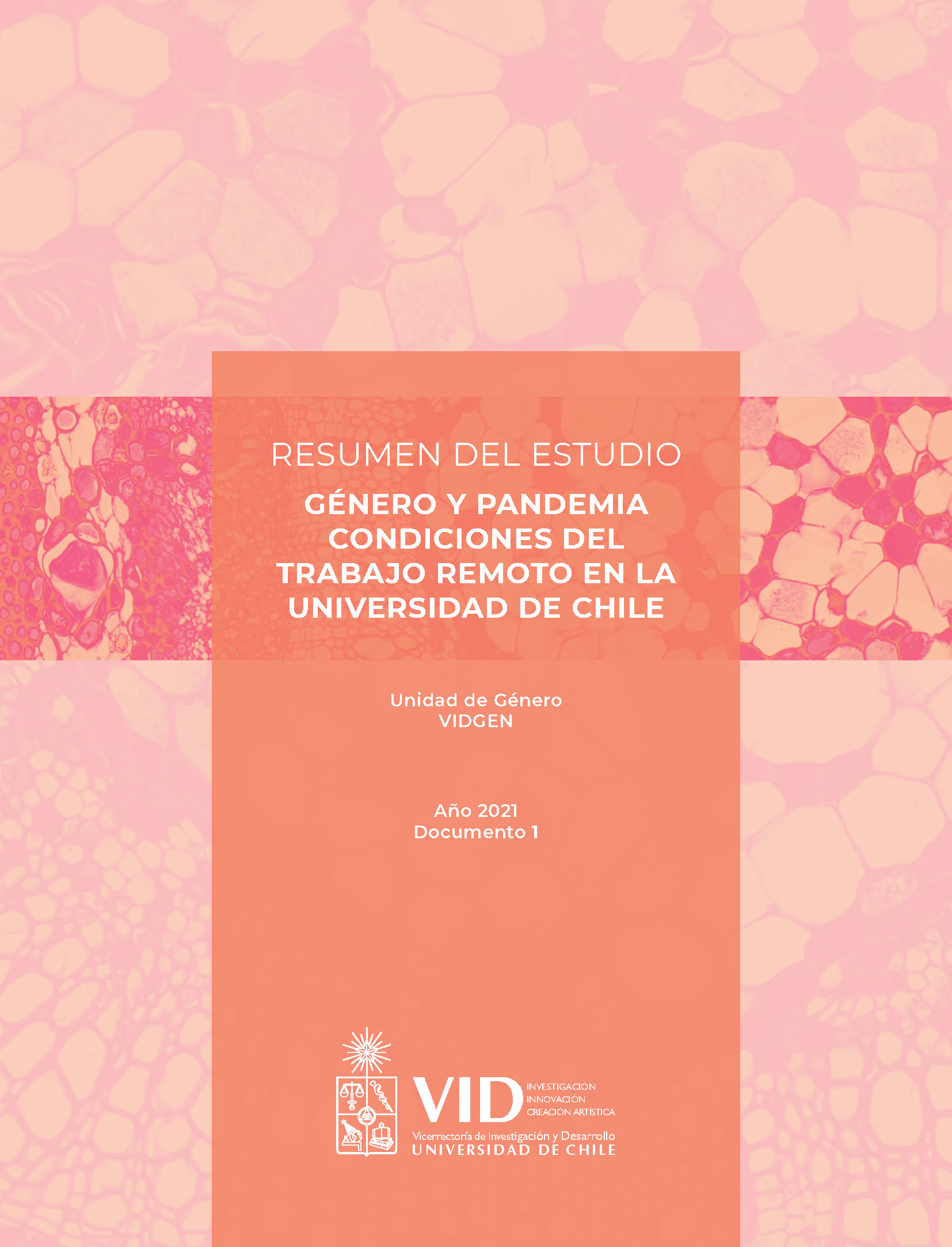 Cubierta para Género y pandemia: condiciones del trabajo remoto en la Universidad de Chile. Resumen del estudio