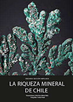 Cubierta para La riqueza mineral de Chile