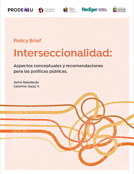 Cubierta para Interseccionalidad: aspectos conceptuales y recomendaciones para las políticas públicas
