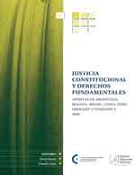 Cubierta para Justicia constitucional y derechos fundamentales: aportes de Argentina, Bolivia, Brasil, Chile, Perú, Uruguay y Venezuela 2009