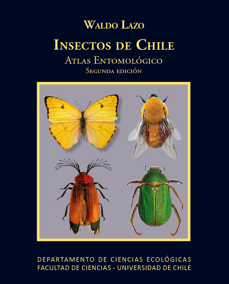 Cubierta para Insectos de Chile: atlas entomológico