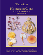 Cubierta para Hongos de Chile: atlas micológico