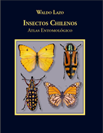Cubierta para Insectos chilenos: atlas entomológico